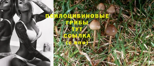спайс Вяземский