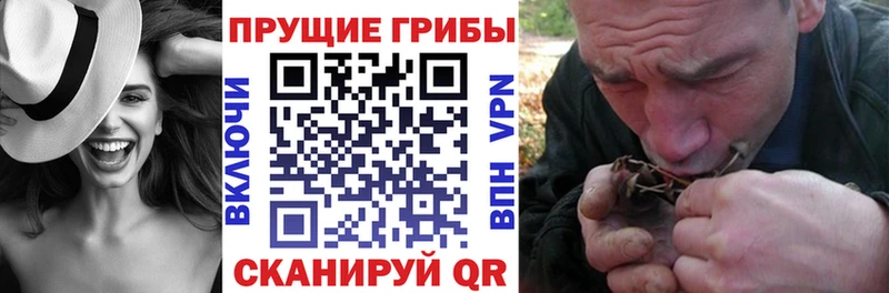 Галлюциногенные грибы прущие грибы  Канаш 